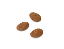 Amandes gianduja poudrées